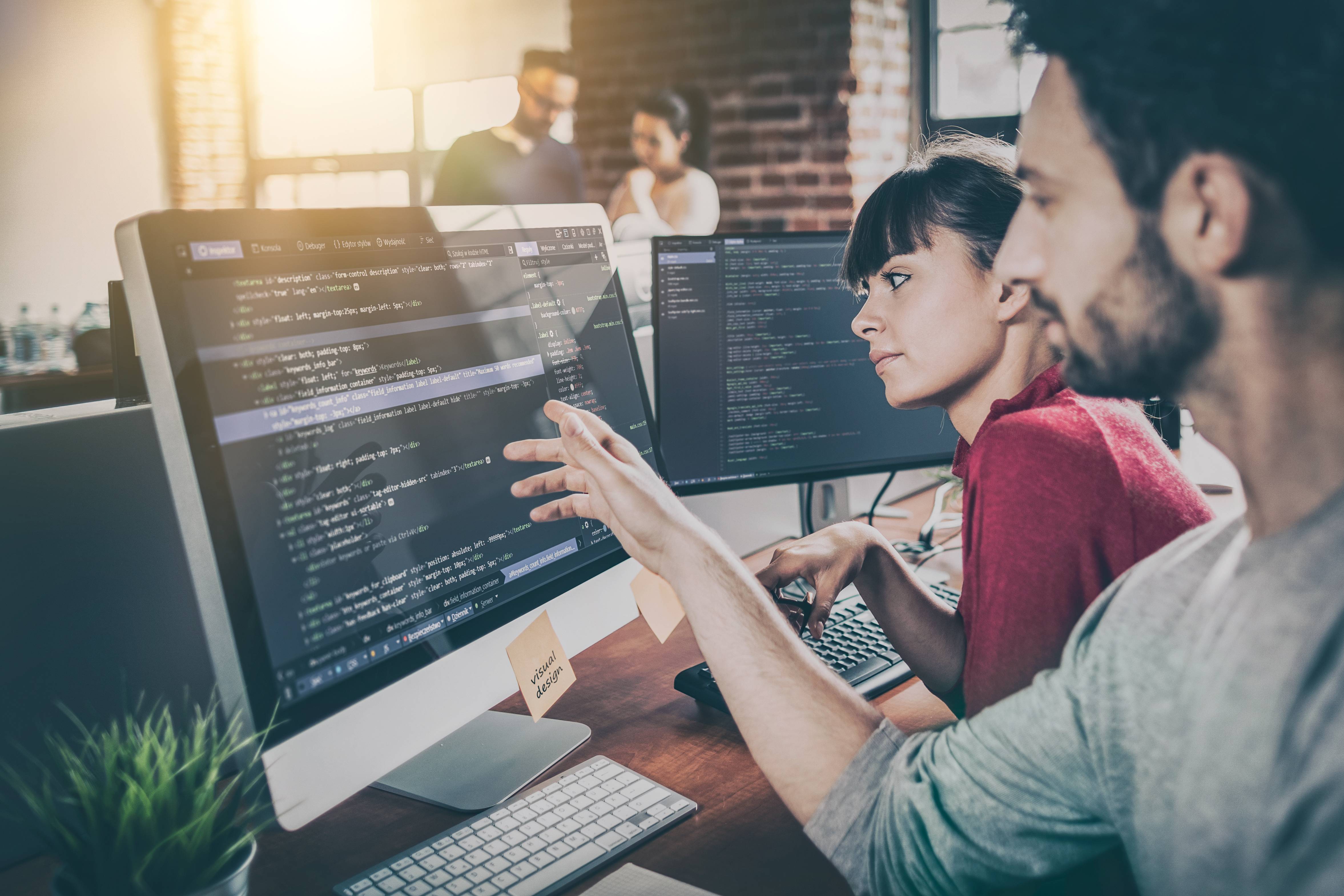 Software Development Consulting